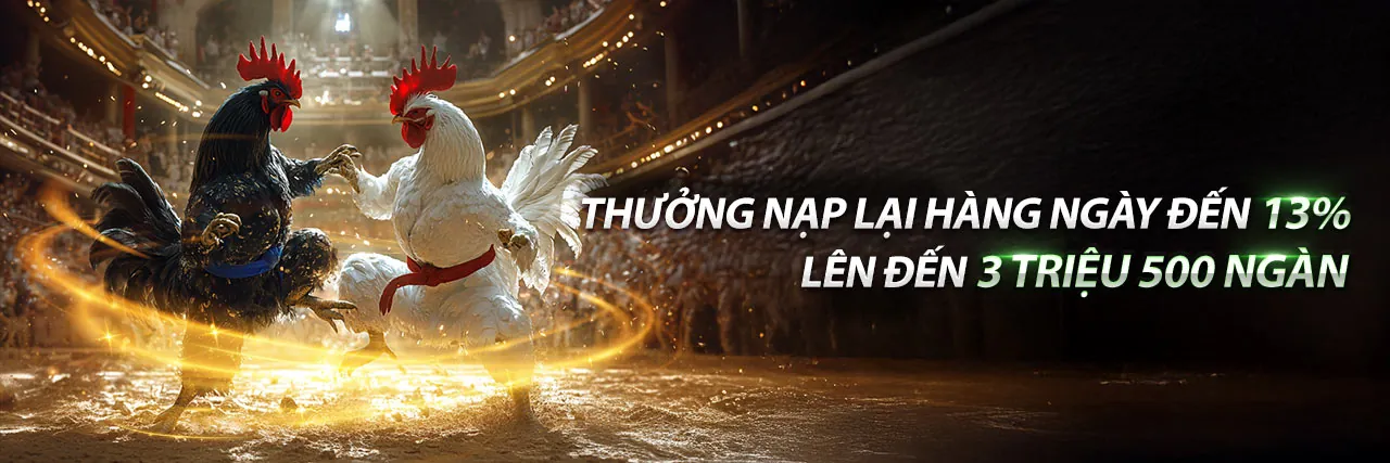 Đá gà kinh33 nhà cái - Trải nghiệm cá cược đá gà trực tuyến đỉnh cao